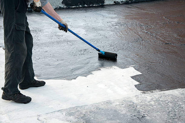 Best Concrete Removal and Replacement in Zellwood, FL